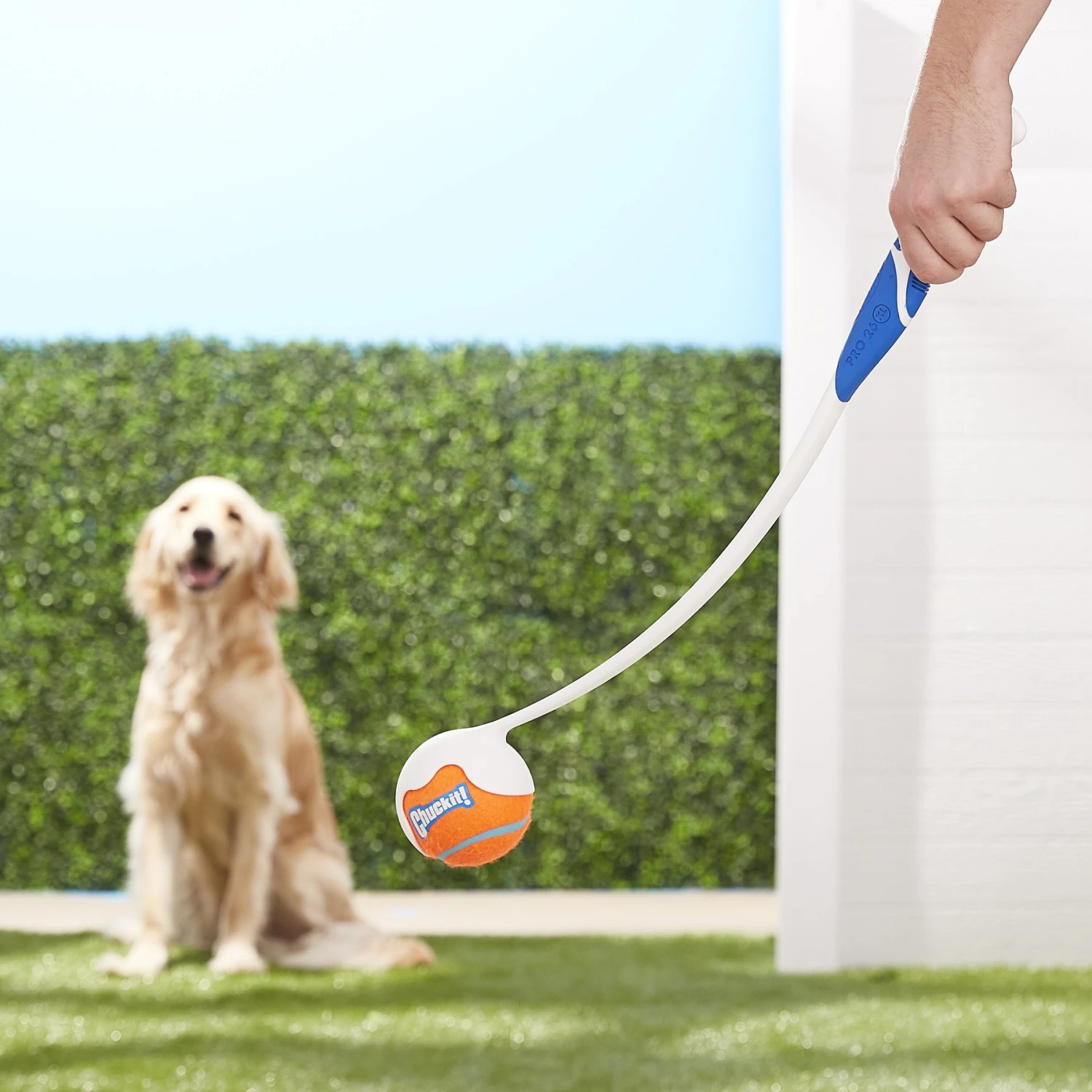 Chuckit! Pro Launcher Dog Toy, Color Varies - Image 2