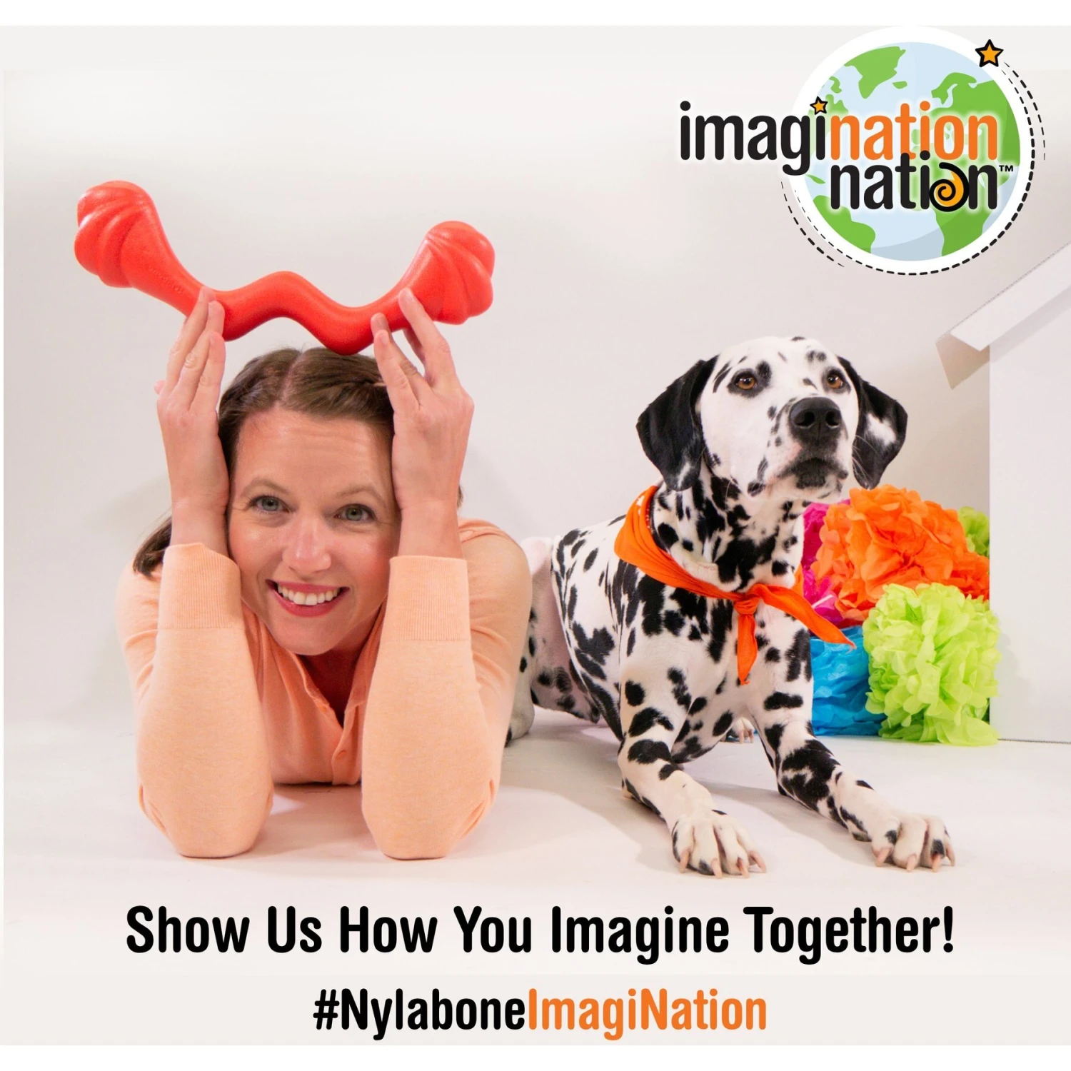 Nylabone Creative Play Stik-GO Interactive Dog Toy, Red - Image 8