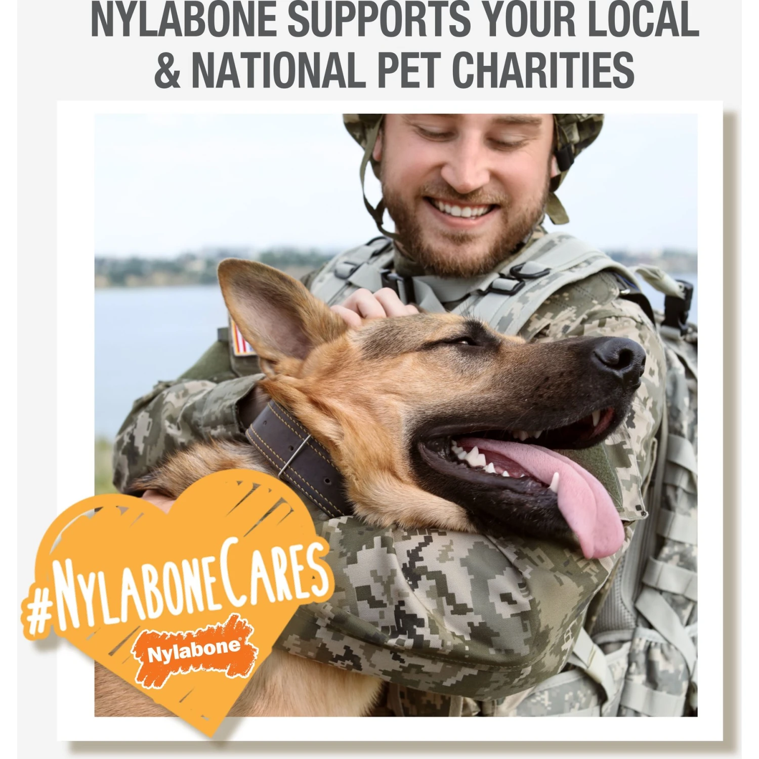 Nylabone Creative Play Stik-GO Interactive Dog Toy, Red - Image 9