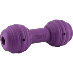 PetSafe Busy Buddy Chuckle Squeaky Treat Dispenser Dog Toy