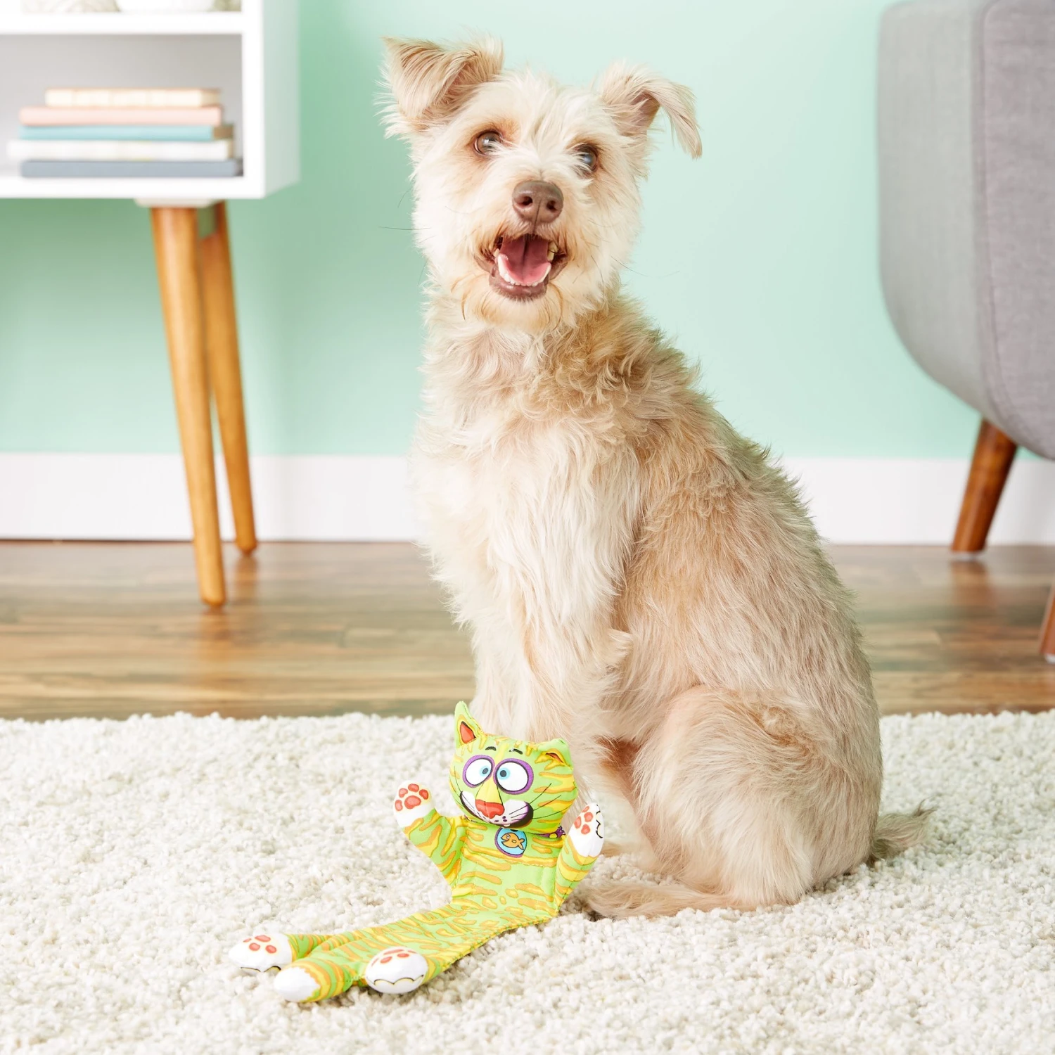 Fat Cat Incredible Strapping Flip-Flop Yankers Squeaky Dog Toy, Character Varies - Image 2