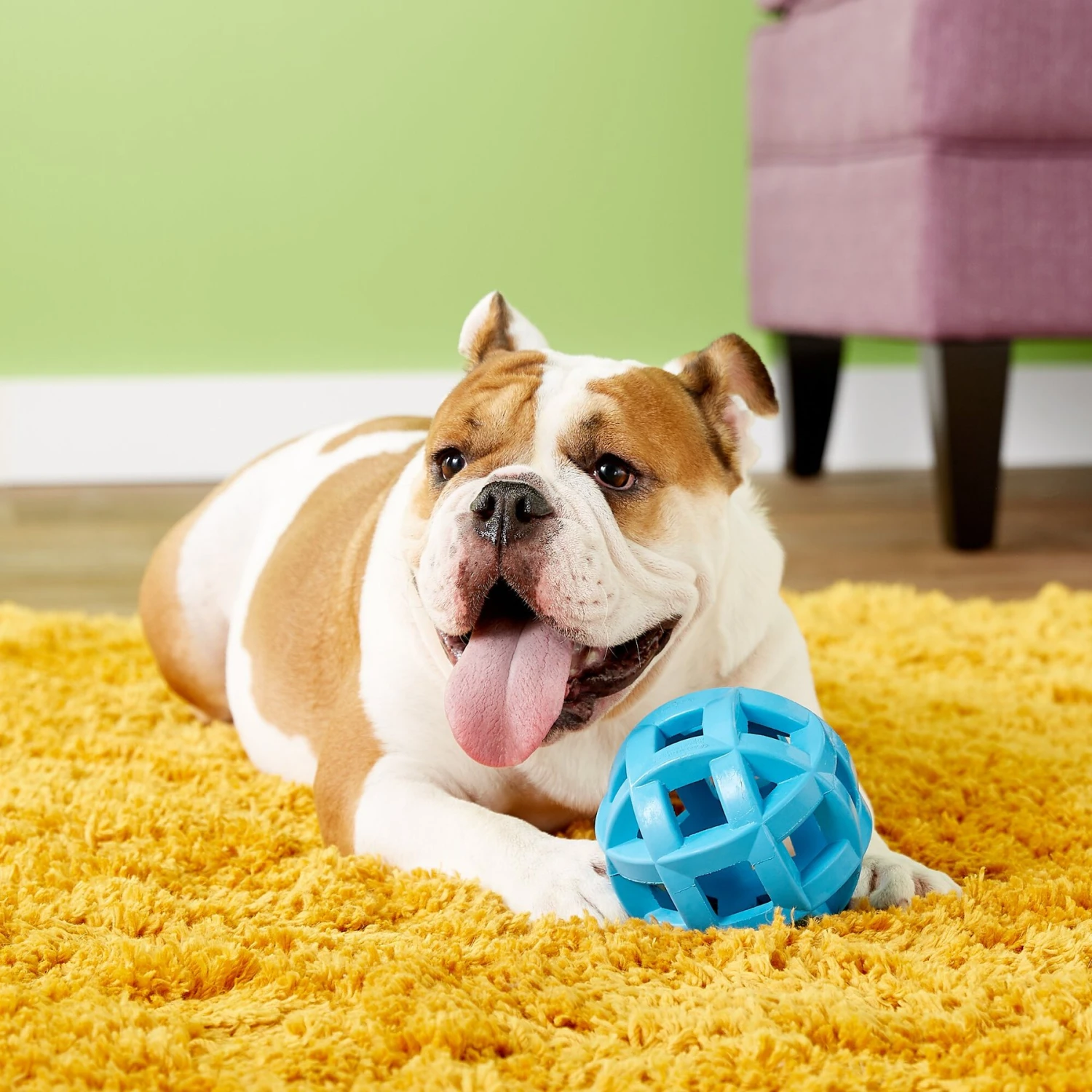 JW Pet Hol-ee Roller X Extreme Dog Toy - Image 2