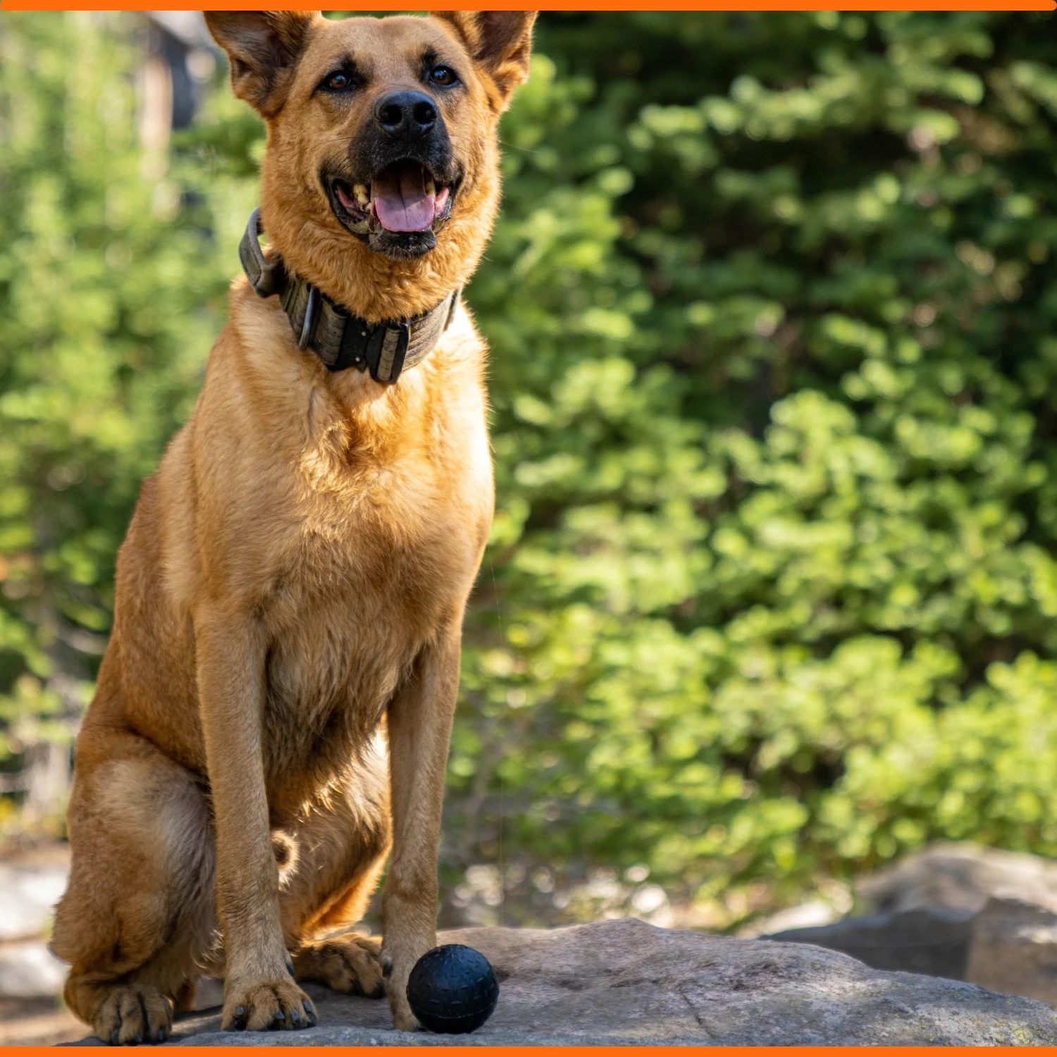 Monster K9 Dog Toys Ultra Durable Dog Ball, Black - Image 2