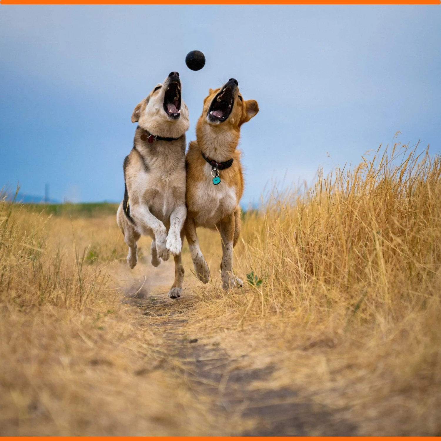 Monster K9 Dog Toys Ultra Durable Dog Ball, Black - Image 6