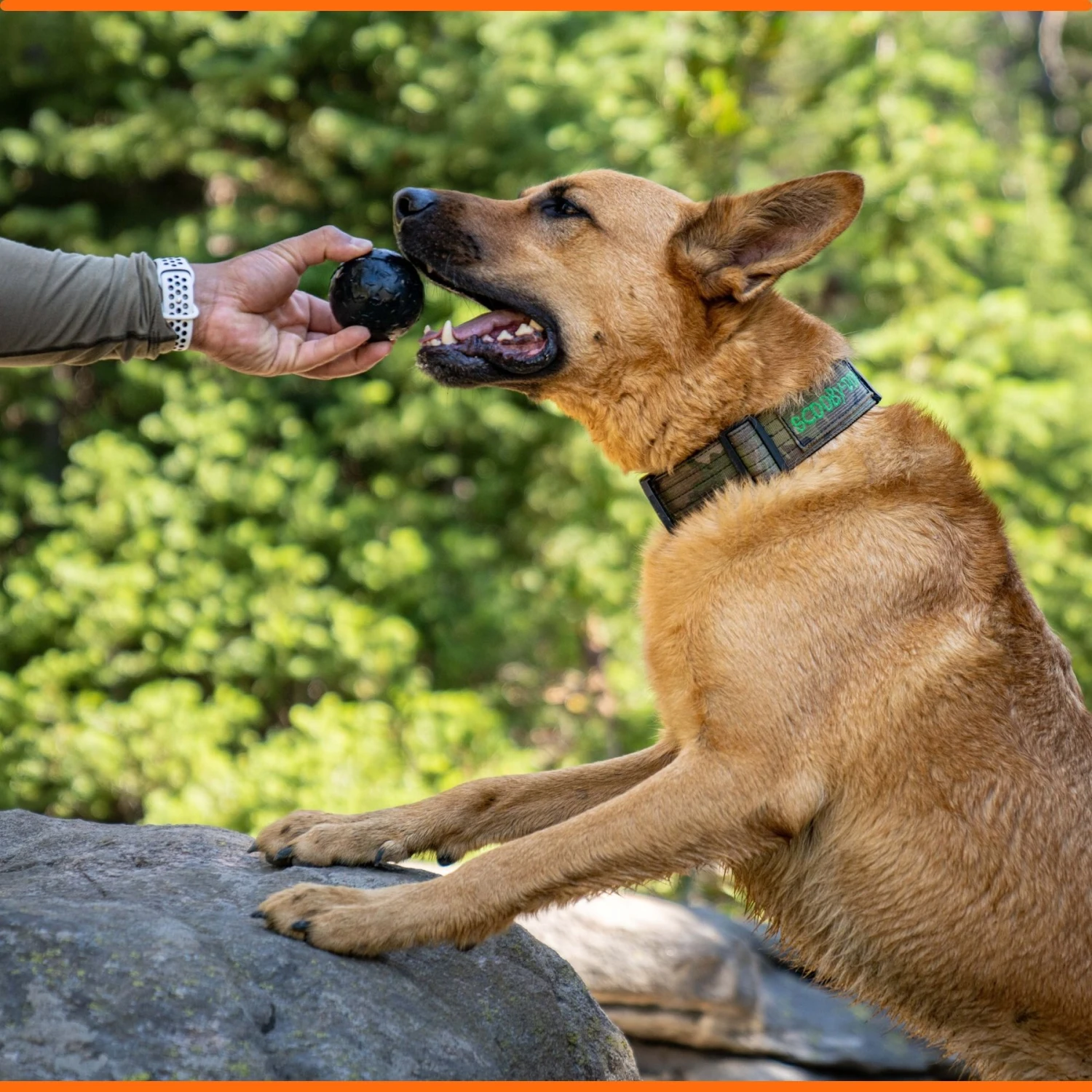 Monster K9 Dog Toys Ultra Durable Dog Ball, Black - Image 7