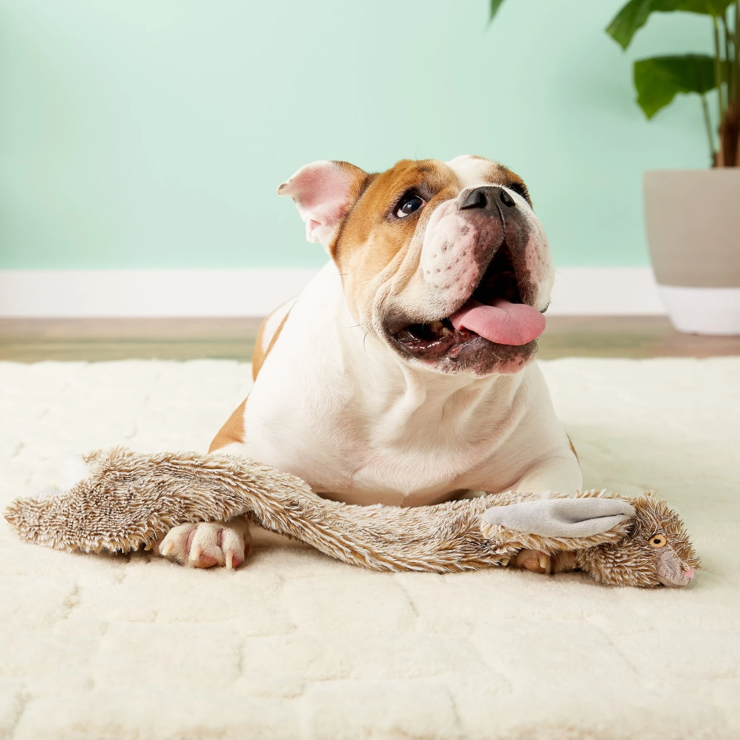 Ethical Pet Skinneeez Forest Series Rabbit Stuffing-Free Squeaky Plush Dog Toy - Image 4