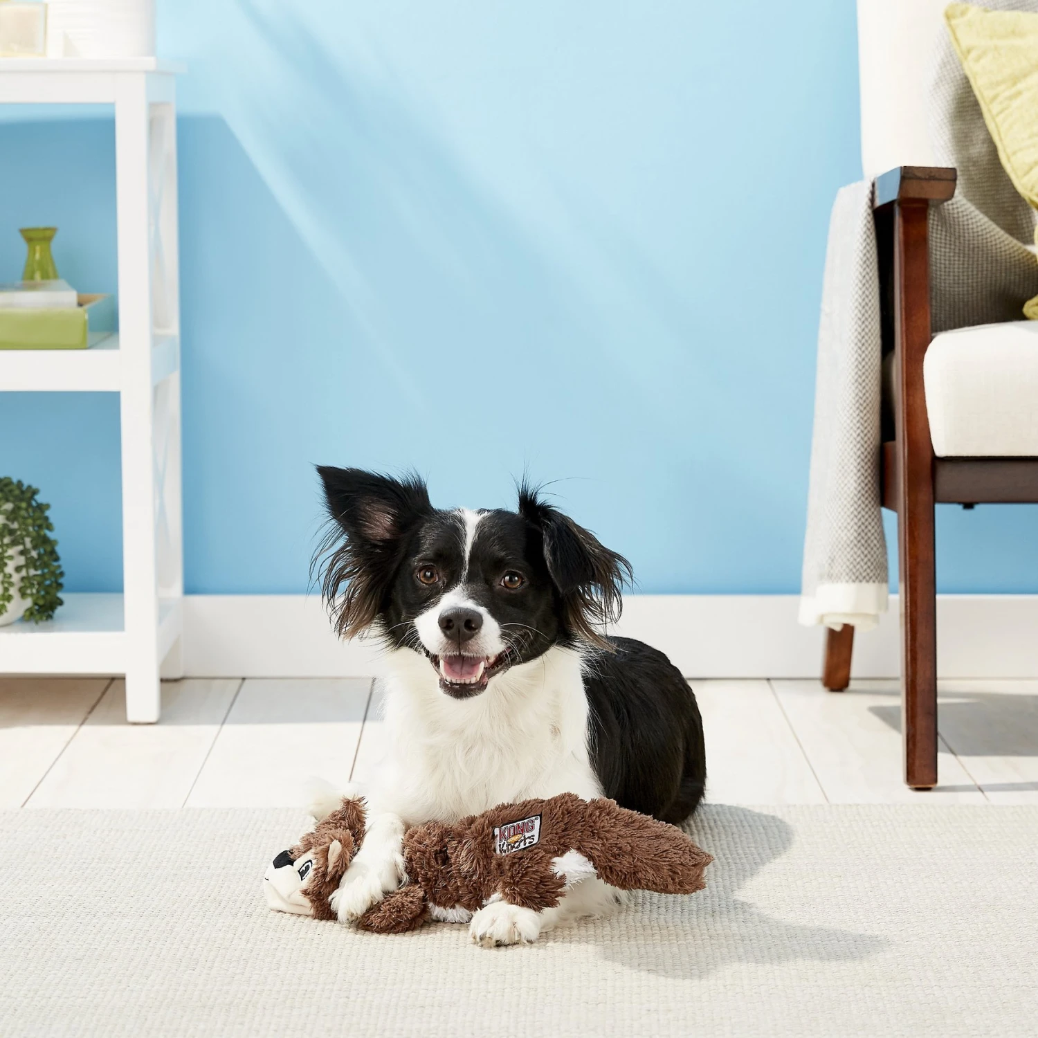 KONG Scrunch Knots Squirrel Dog Toy - Image 5