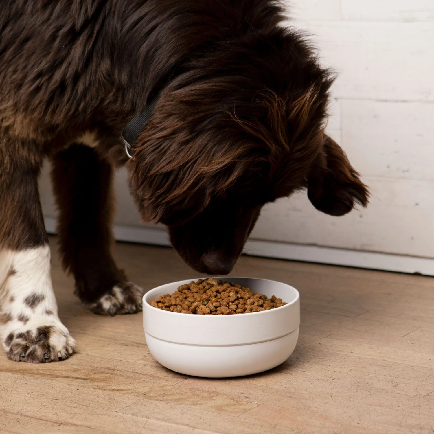 Waggo Cling Non-Skid Silicone Bottom Dog & Cat Bowl - Image 4