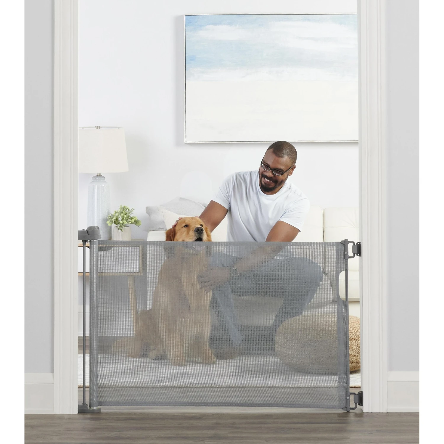 Carlson Pet Products Retractable Safety Dog Gate, Gray, Large