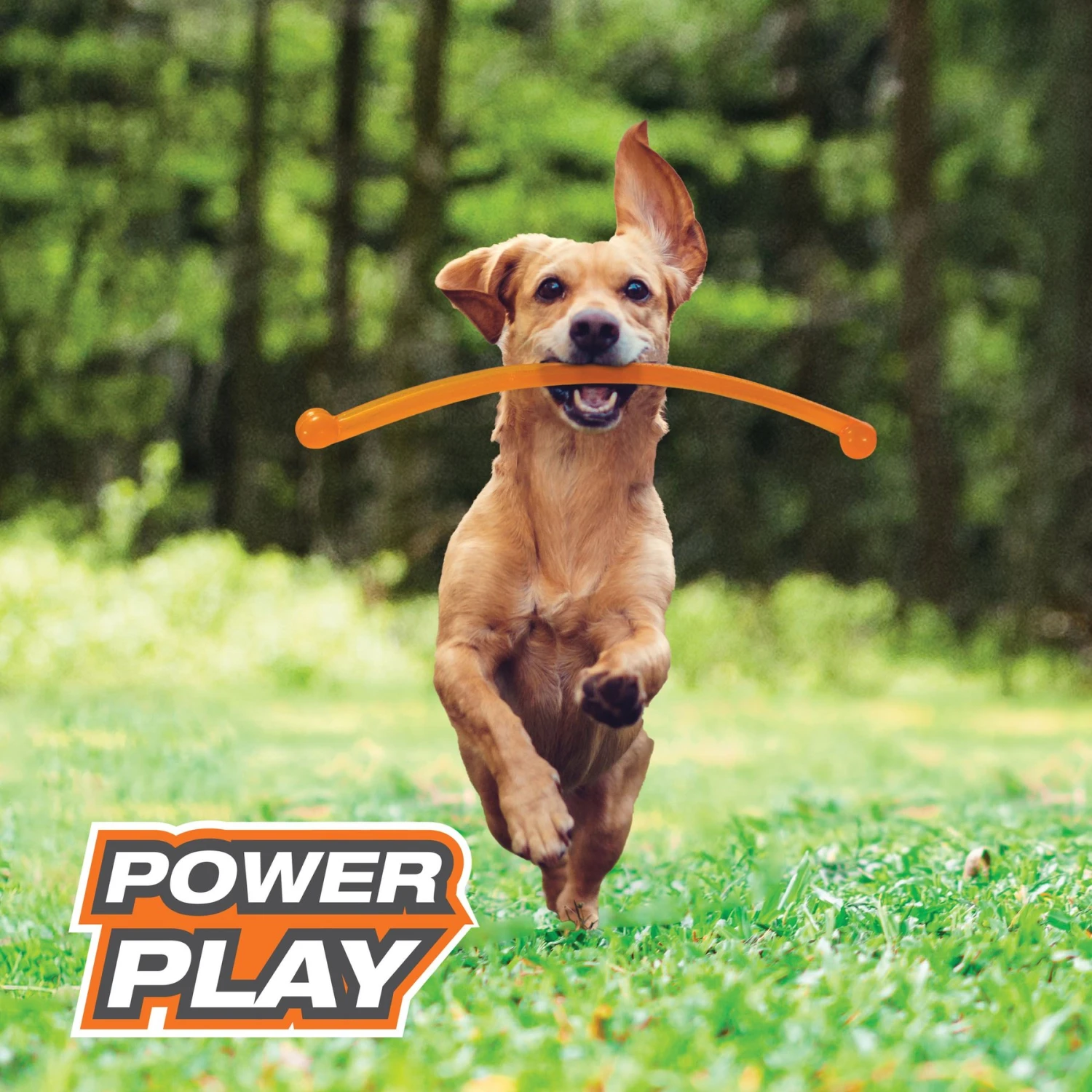 Nylabone Power Play Crazy Stick Dog Toy, Orange - Image 3