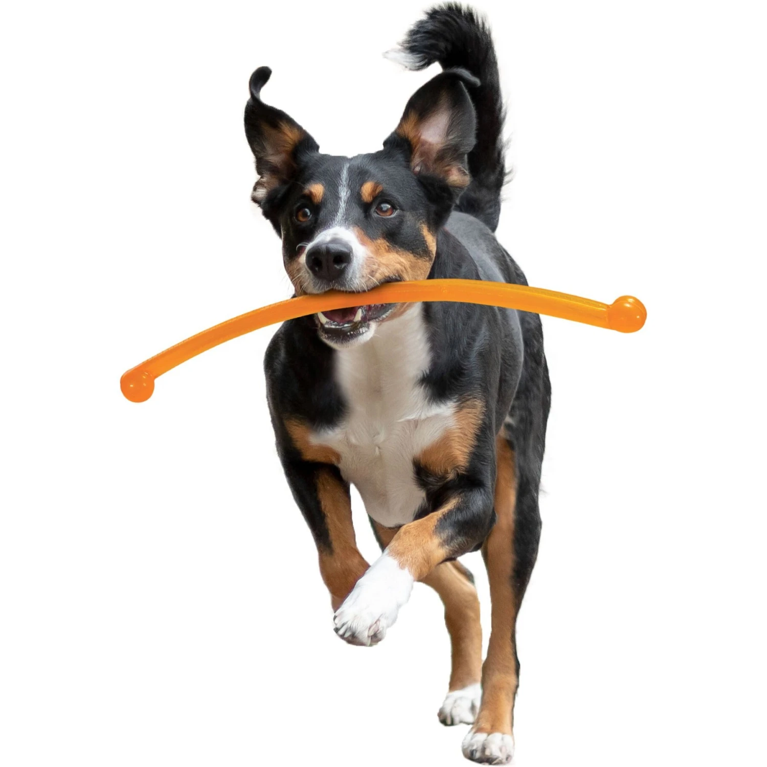Nylabone Power Play Crazy Stick Dog Toy, Orange - Image 9
