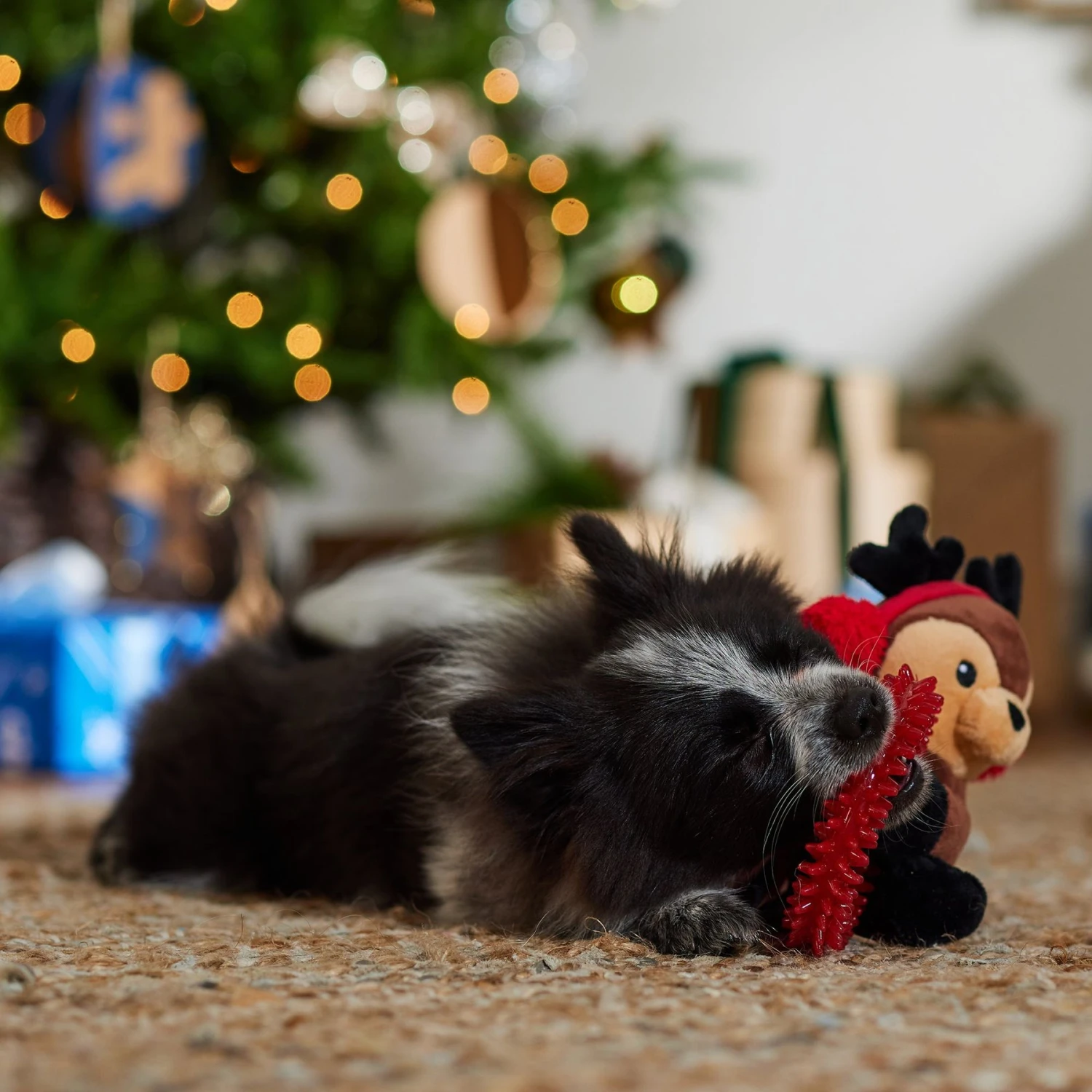 Frisco Holiday Reindeer Plush With TPR Ring Squeaky Puppy Toy - Image 3