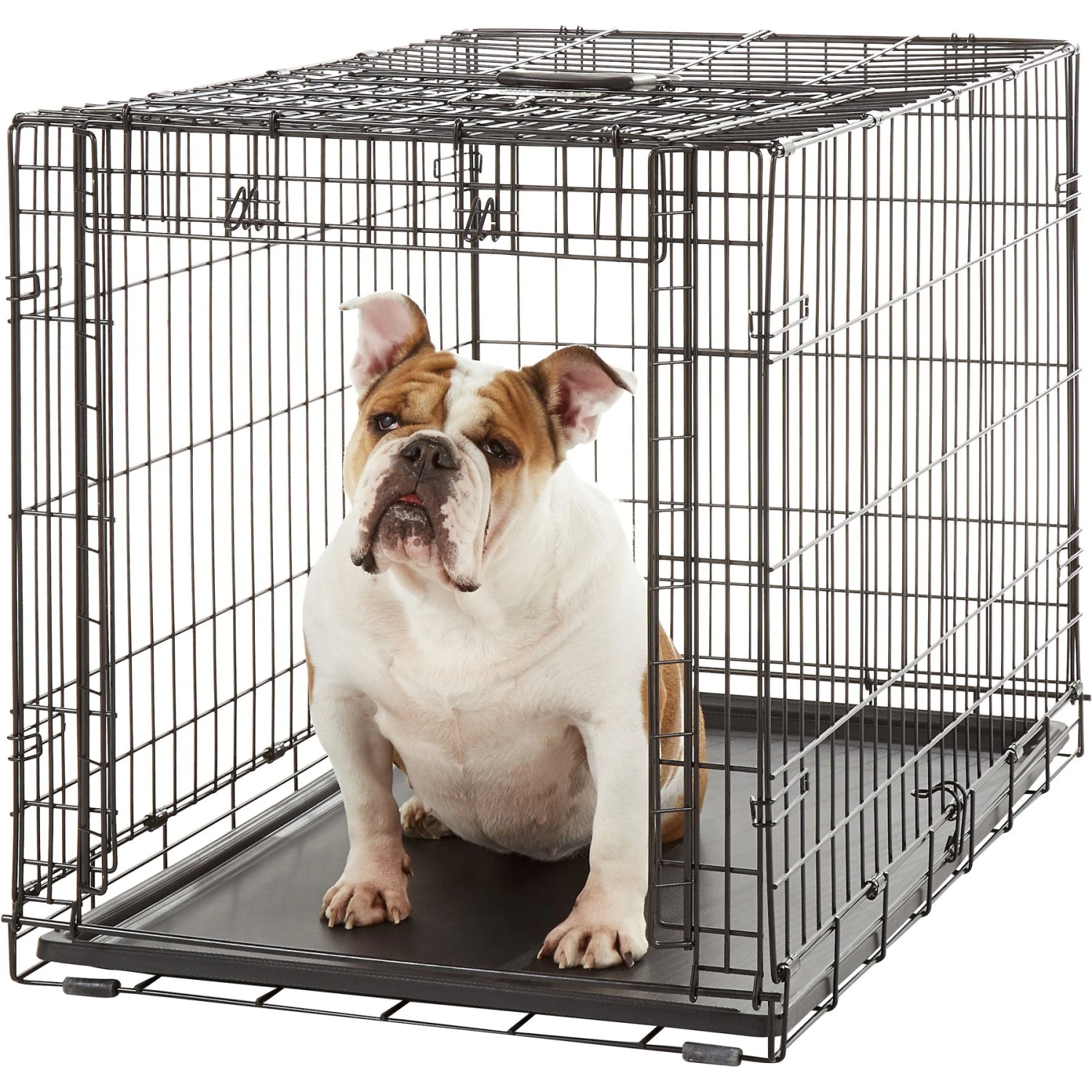 MidWest Ovation Single Door Collapsible Wire Dog Crate - Image 4