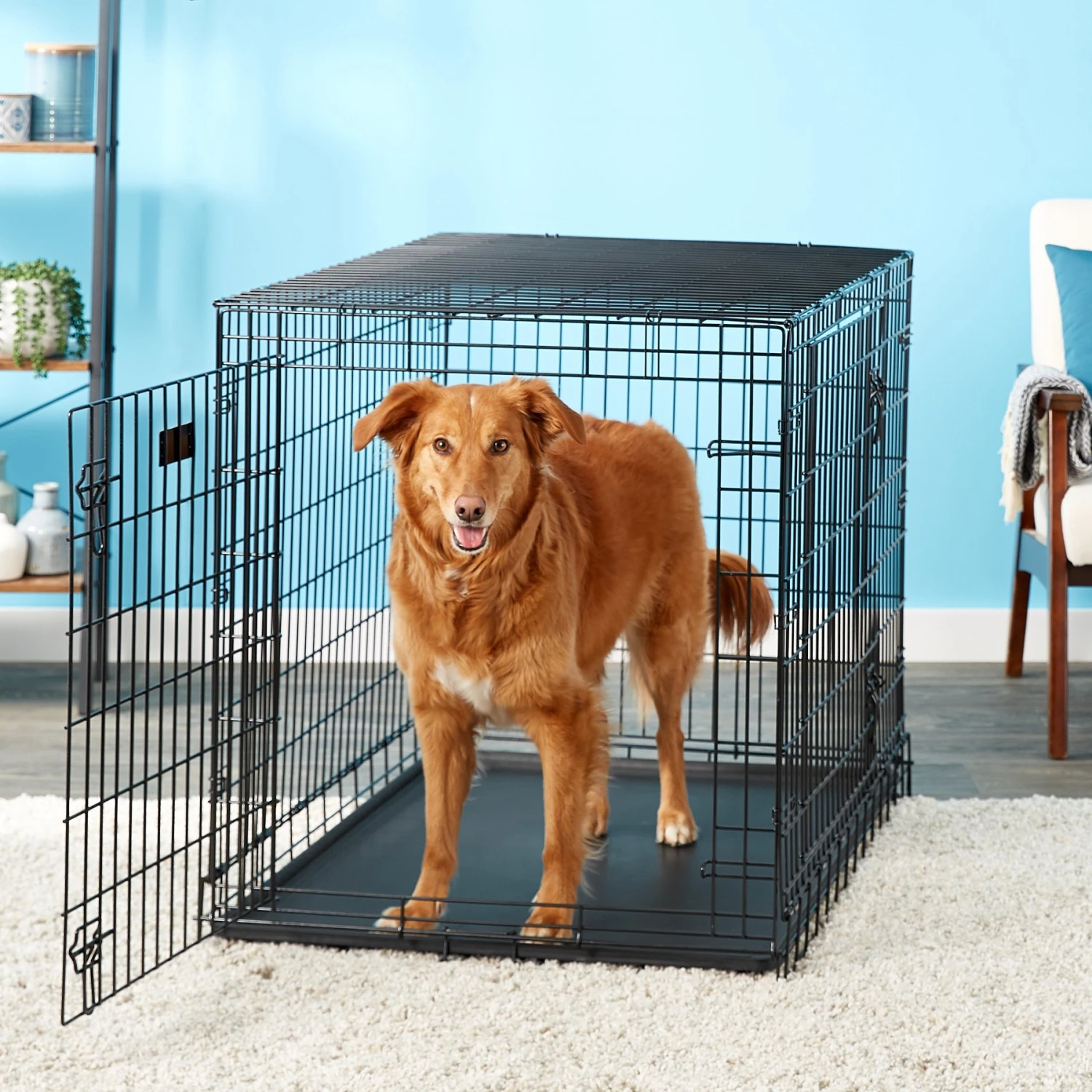MidWest Ultima Pro Double Door Collapsible Wire Dog Crate