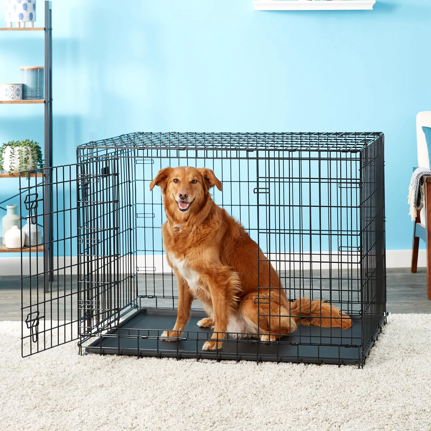 MidWest Ultima Pro Double Door Collapsible Wire Dog Crate - Image 5