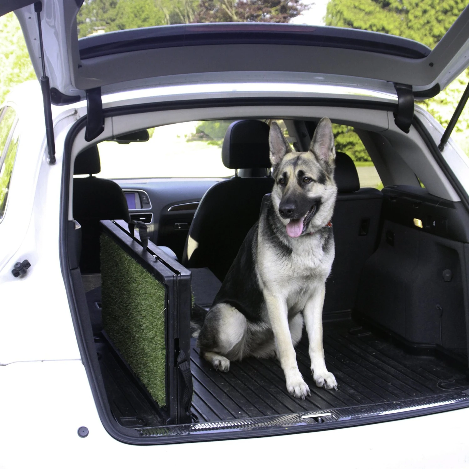 Gen7Pets Natural-Step Foldable Dog Car Ramp - Image 6