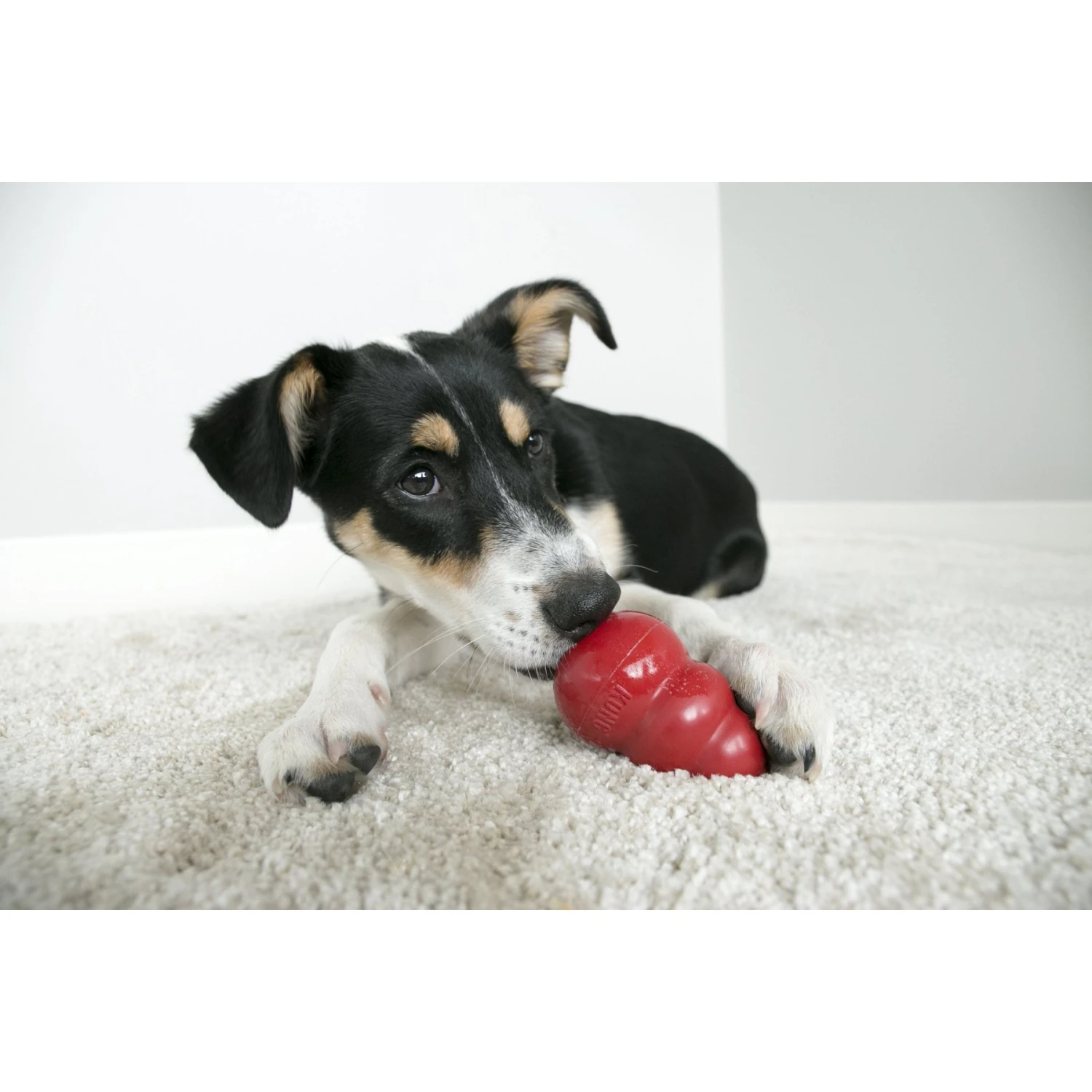 MidWest ICrate Fold & Carry Double Door Collapsible Wire Dog Crate & KONG Classic Dog Toy - Image 9