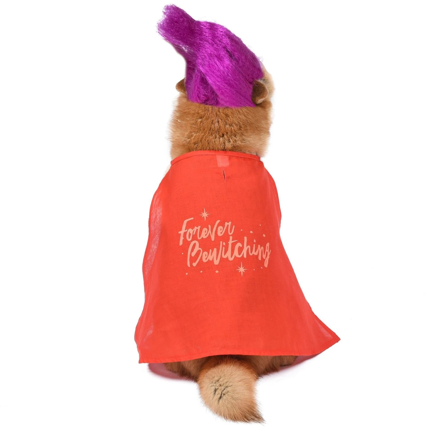 Disney Hocus Pocus Halloween Mary Sanderson Cape & Pet Wig Dog Costume With PVC Bag & Insert Card - Image 3