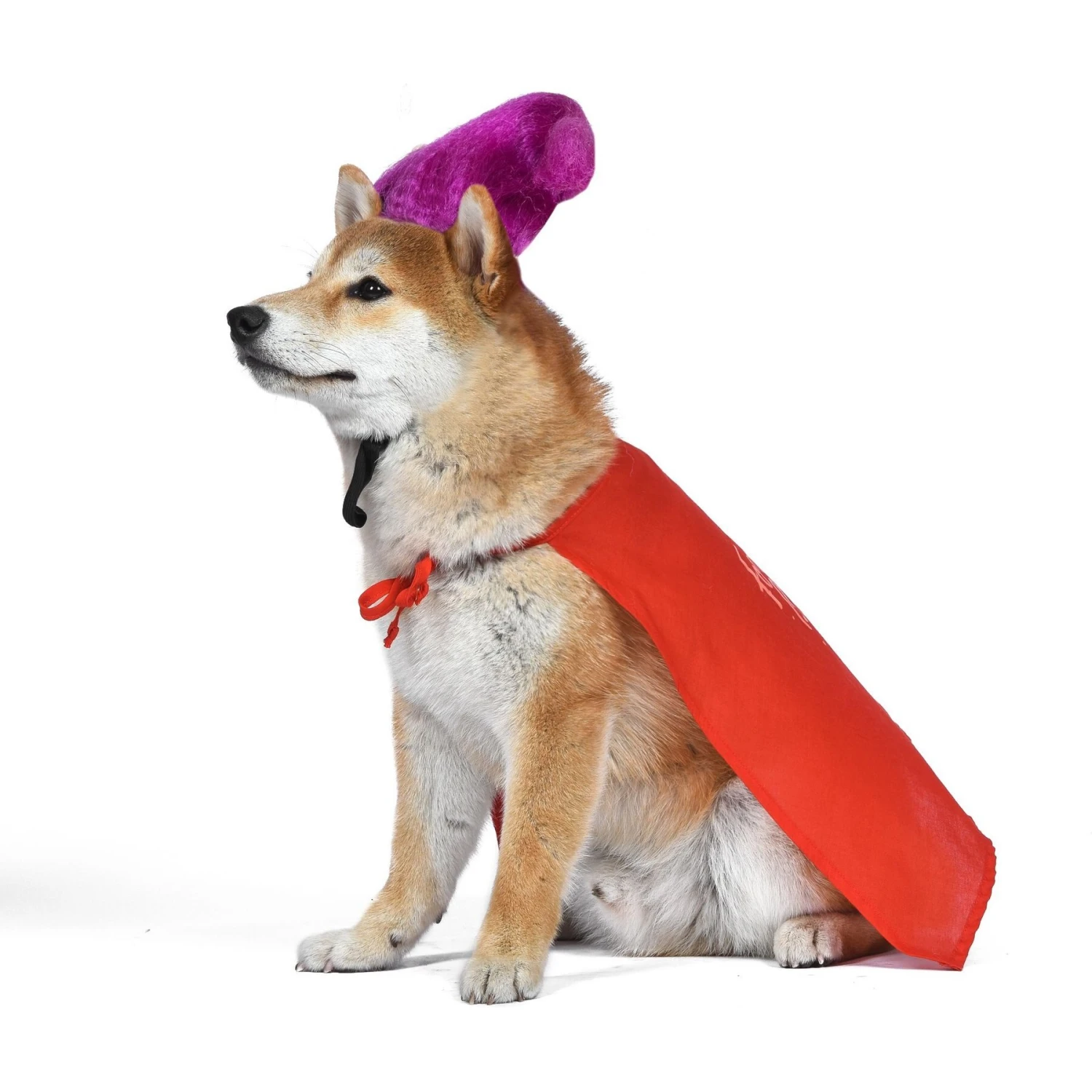 Disney Hocus Pocus Halloween Mary Sanderson Cape & Pet Wig Dog Costume With PVC Bag & Insert Card - Image 5