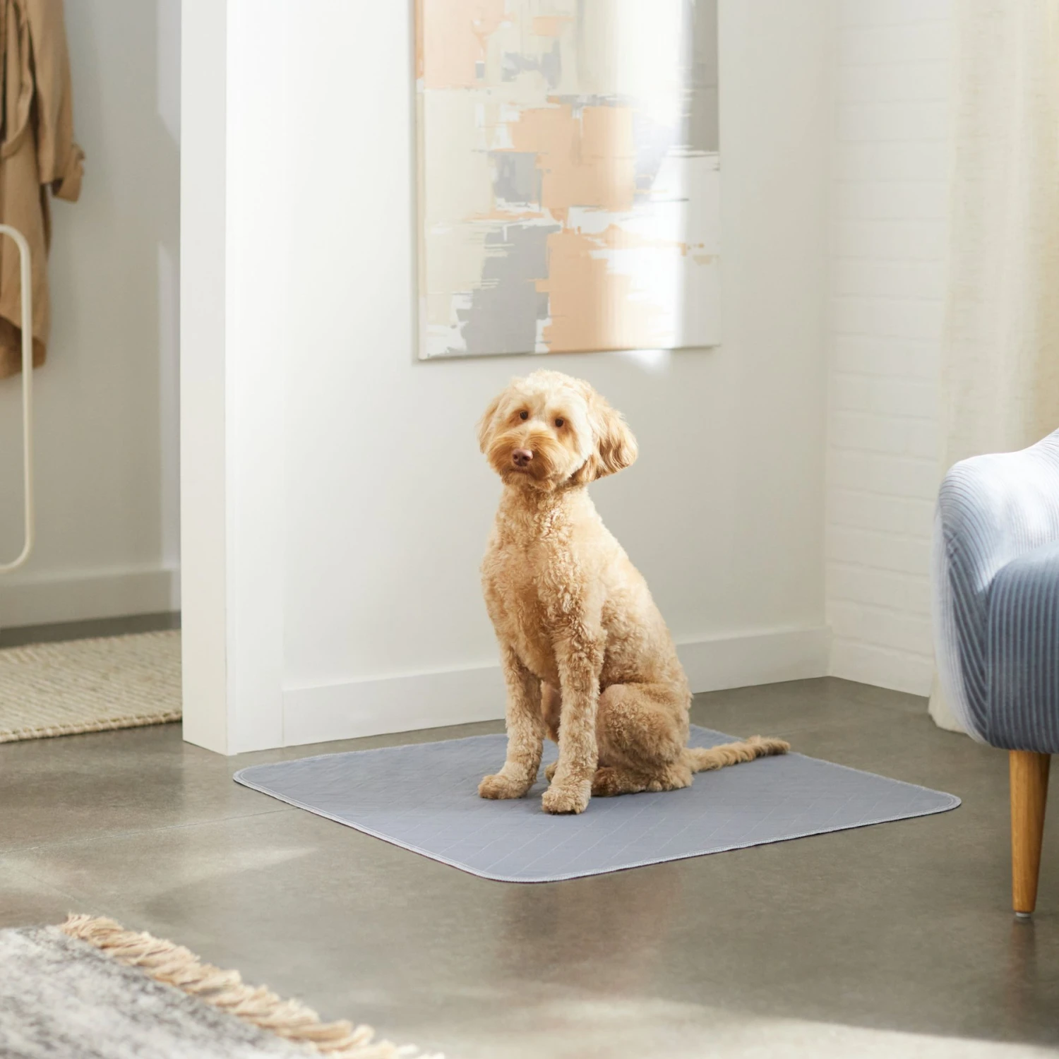 Skout's Honor Dog Pee Pad Refresher Spray, 28-oz Bottle & Frisco Washable Dog Potty Pads - Image 9