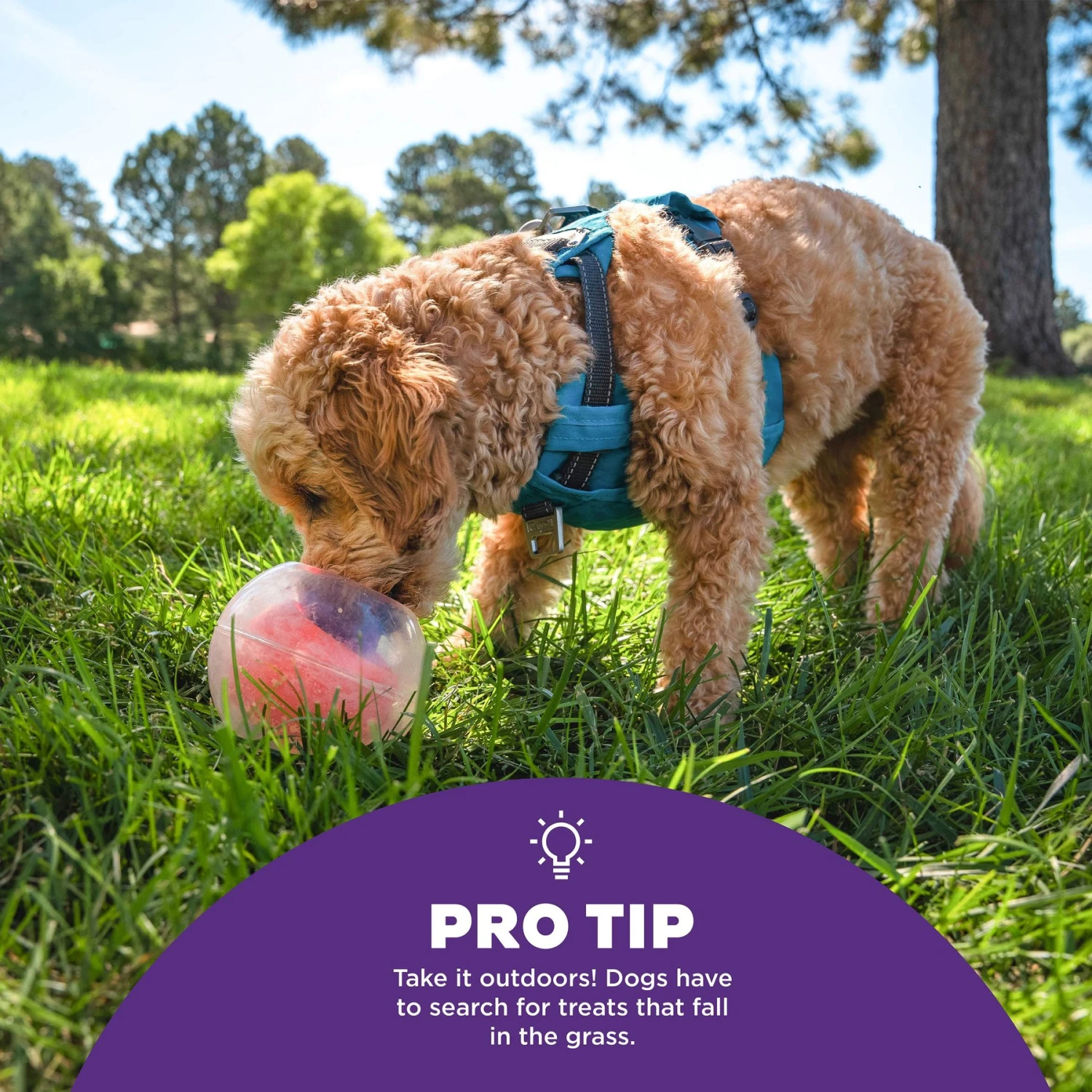 Outward Hound Dog Rumble Puzzle Ball Puzzle & Treat Maze Interactive Dog Toy, Orange - Image 5