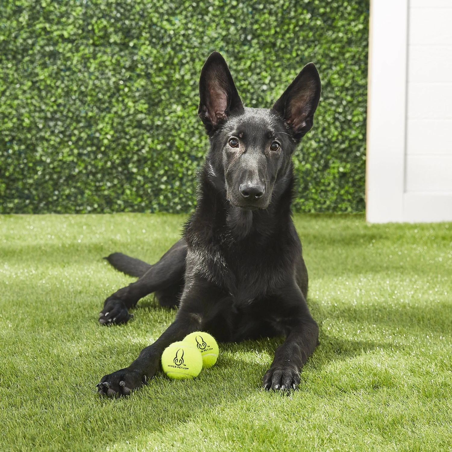 Hyper Pet 2 Pack Of Balls For Dogs, Green - Image 2