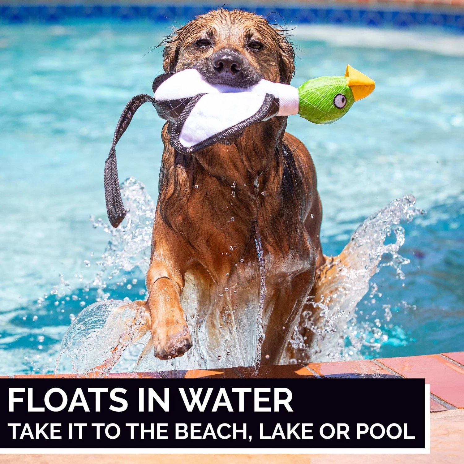 Hyper Pet Flying Series Dog Toy - Image 3