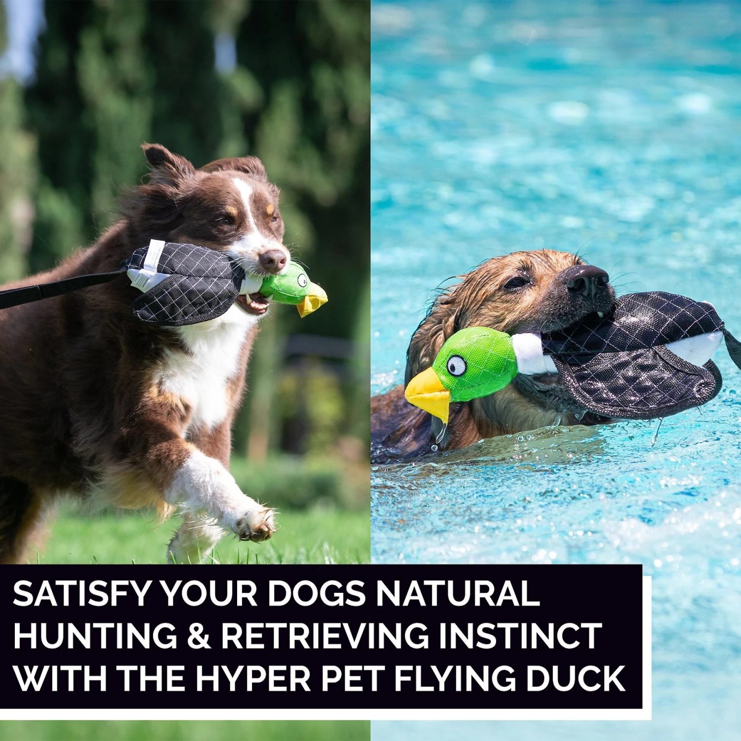 Hyper Pet Flying Series Dog Toy - Image 5