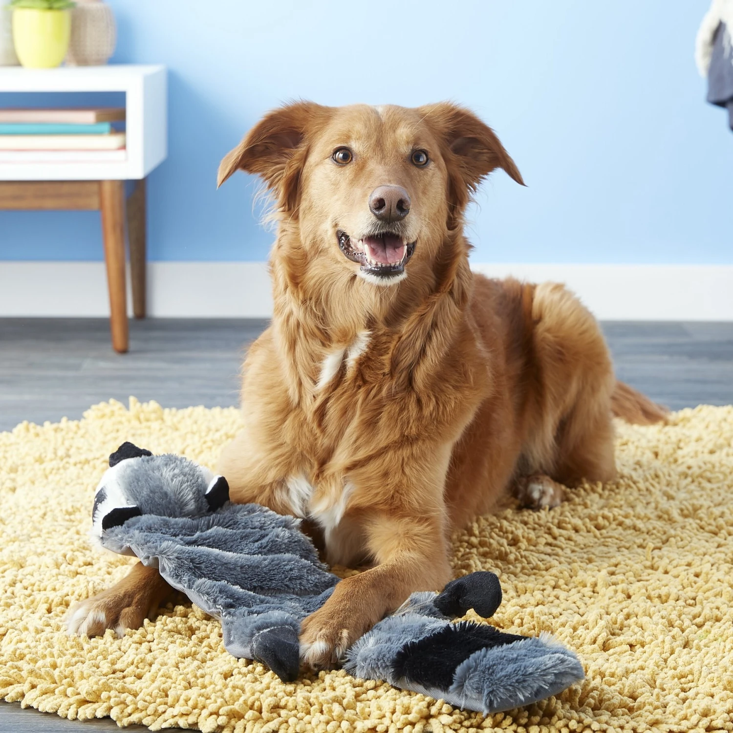 Hyper Pet Super Squeaker Raccoon Critter Skinz Dog Toy - Image 6