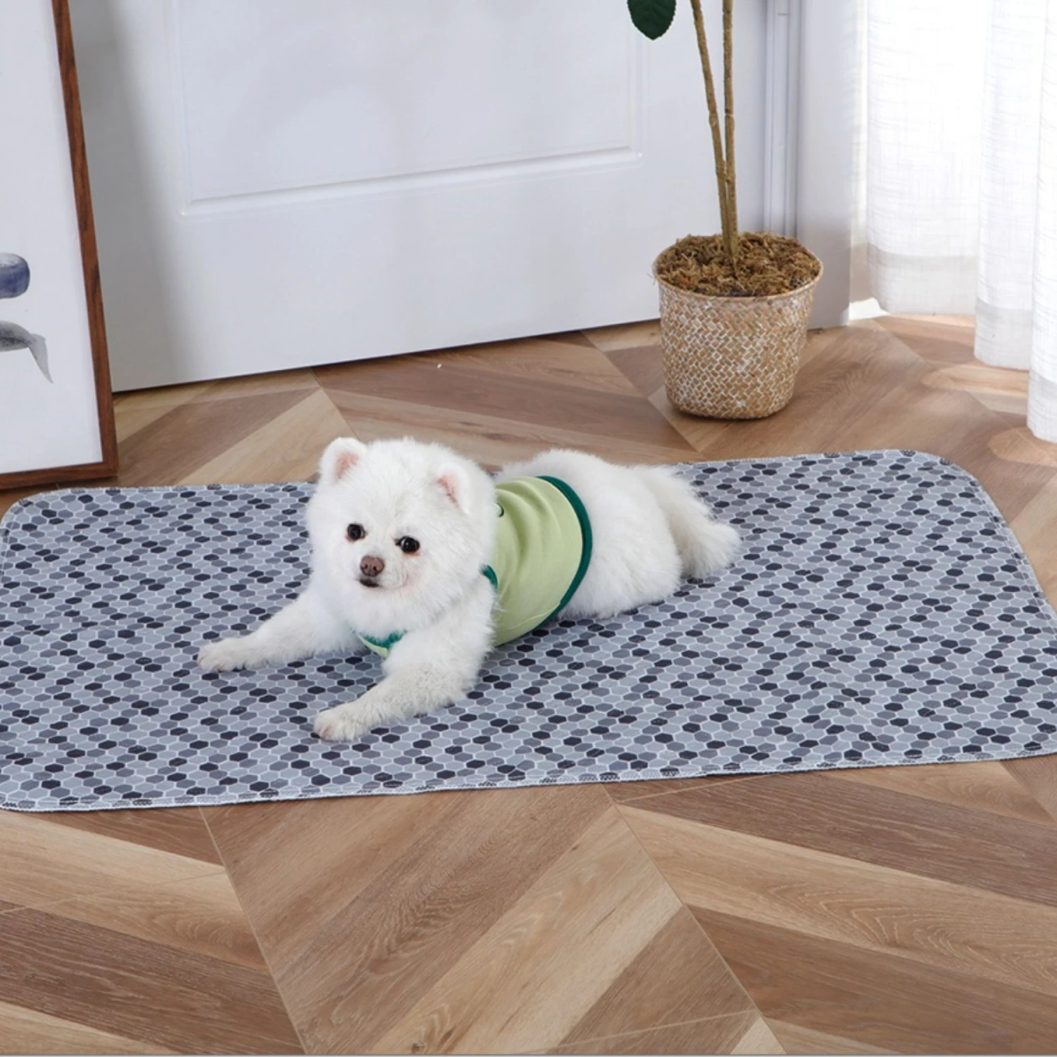 Caldwell's Multi-Purpose Quilted Washable & Reusable Dog Pee Pads - Image 2