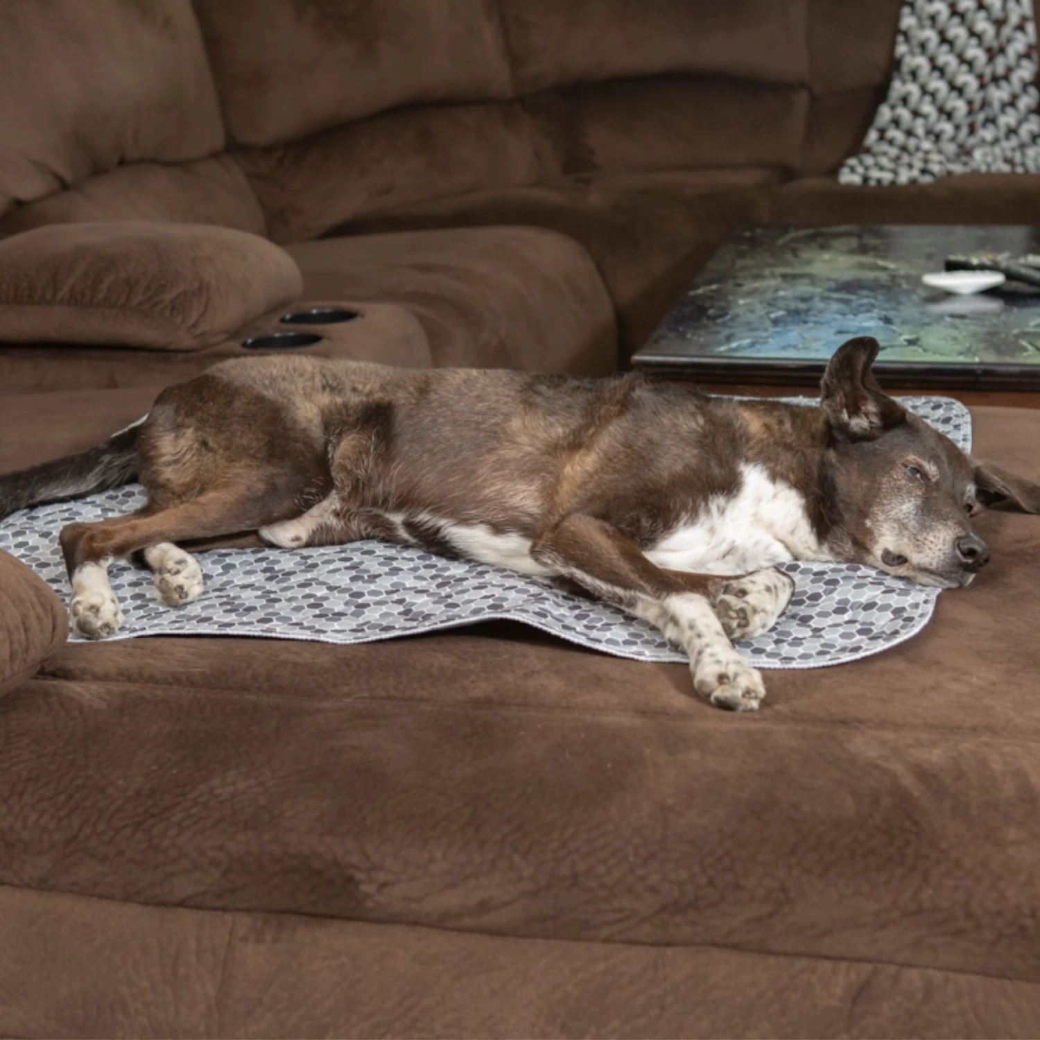 Caldwell's Multi-Purpose Quilted Washable & Reusable Dog Pee Pads - Image 3