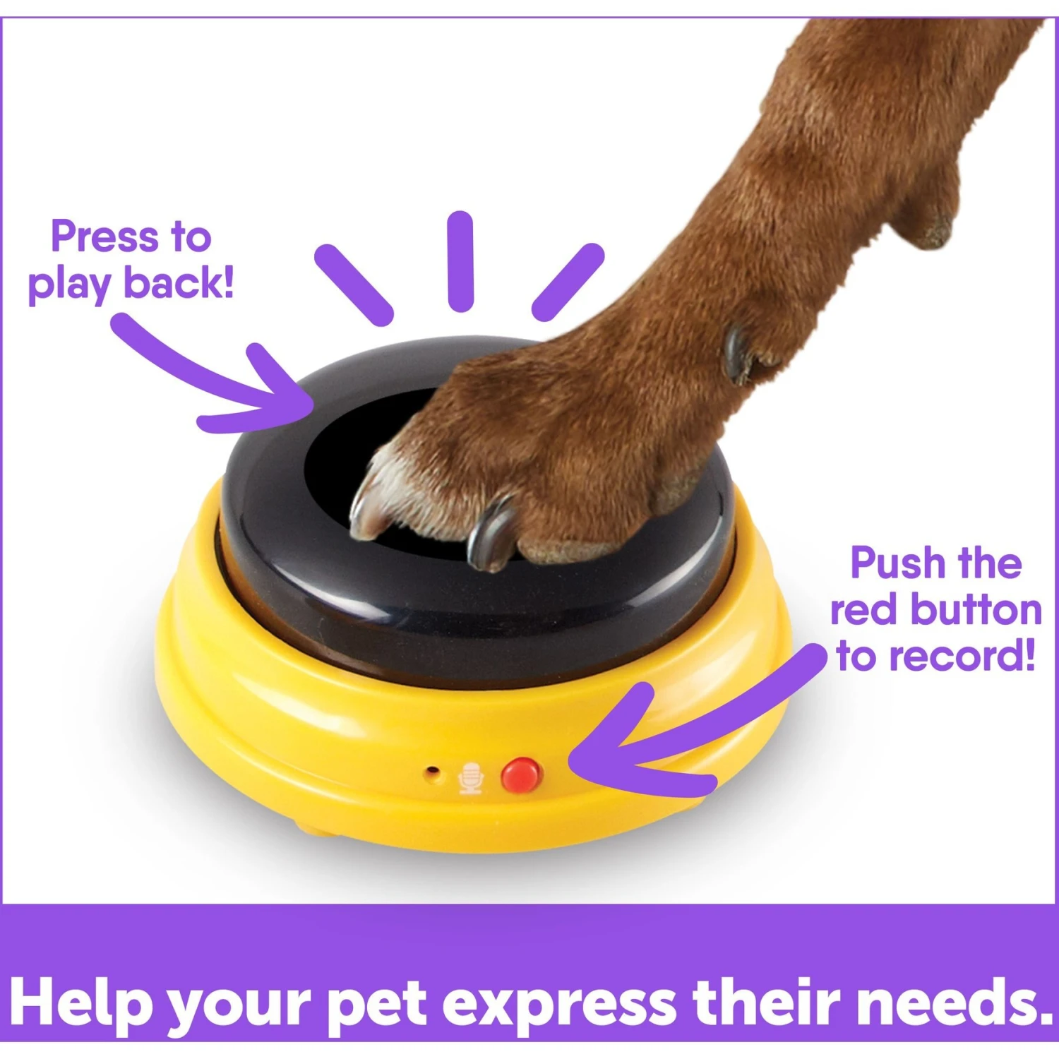 Hunger For Words Talking Pet Next Words: Names Dog Toy - Image 4