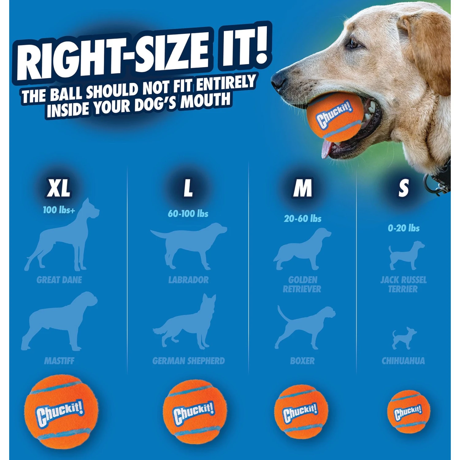 Chuckit! Double Pack Tennis Ball Dog Toy - Image 2