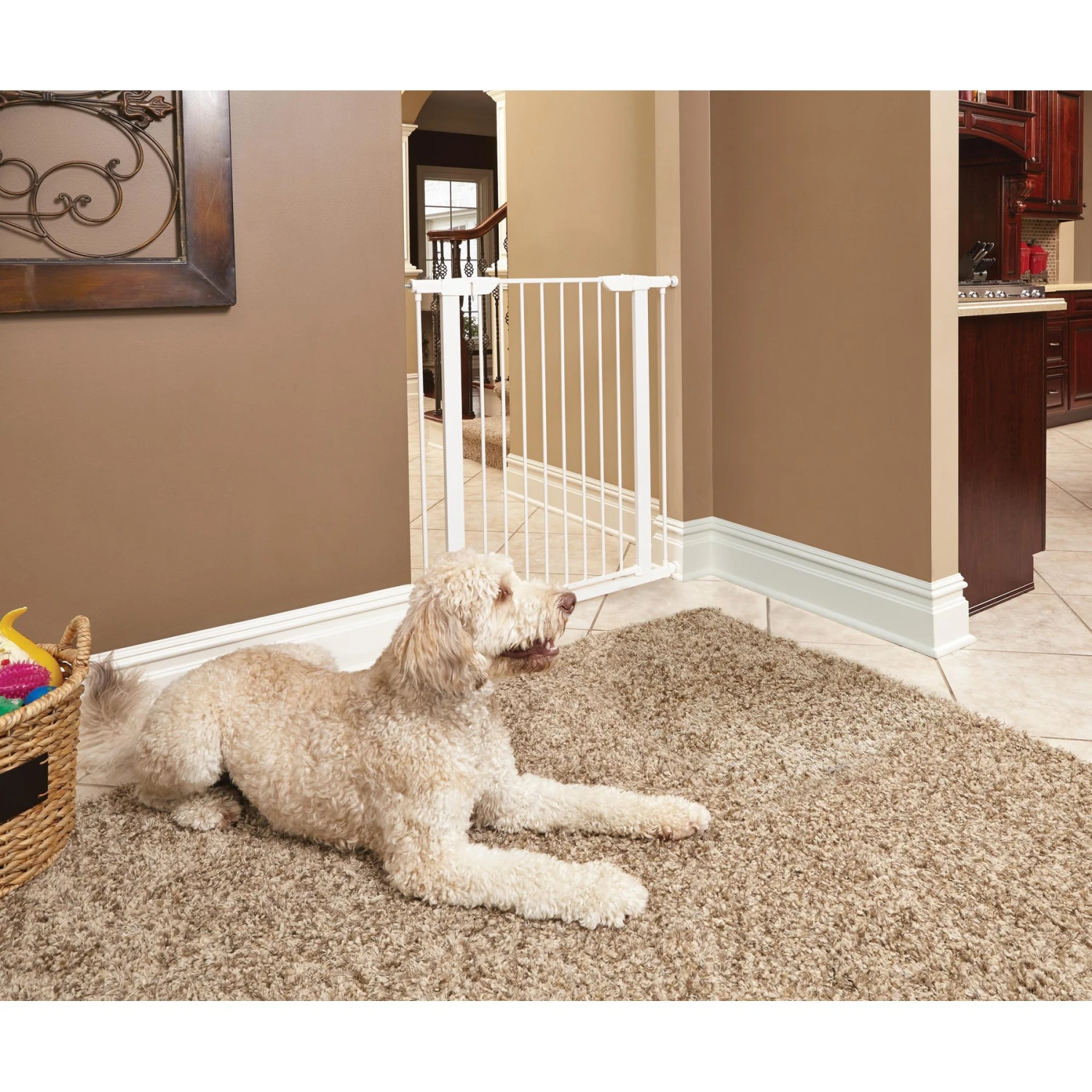 MidWest ICrate Fold & Carry Double Door Collapsible Wire Dog Crate & MidWest Steel Pet Gate - Image 7