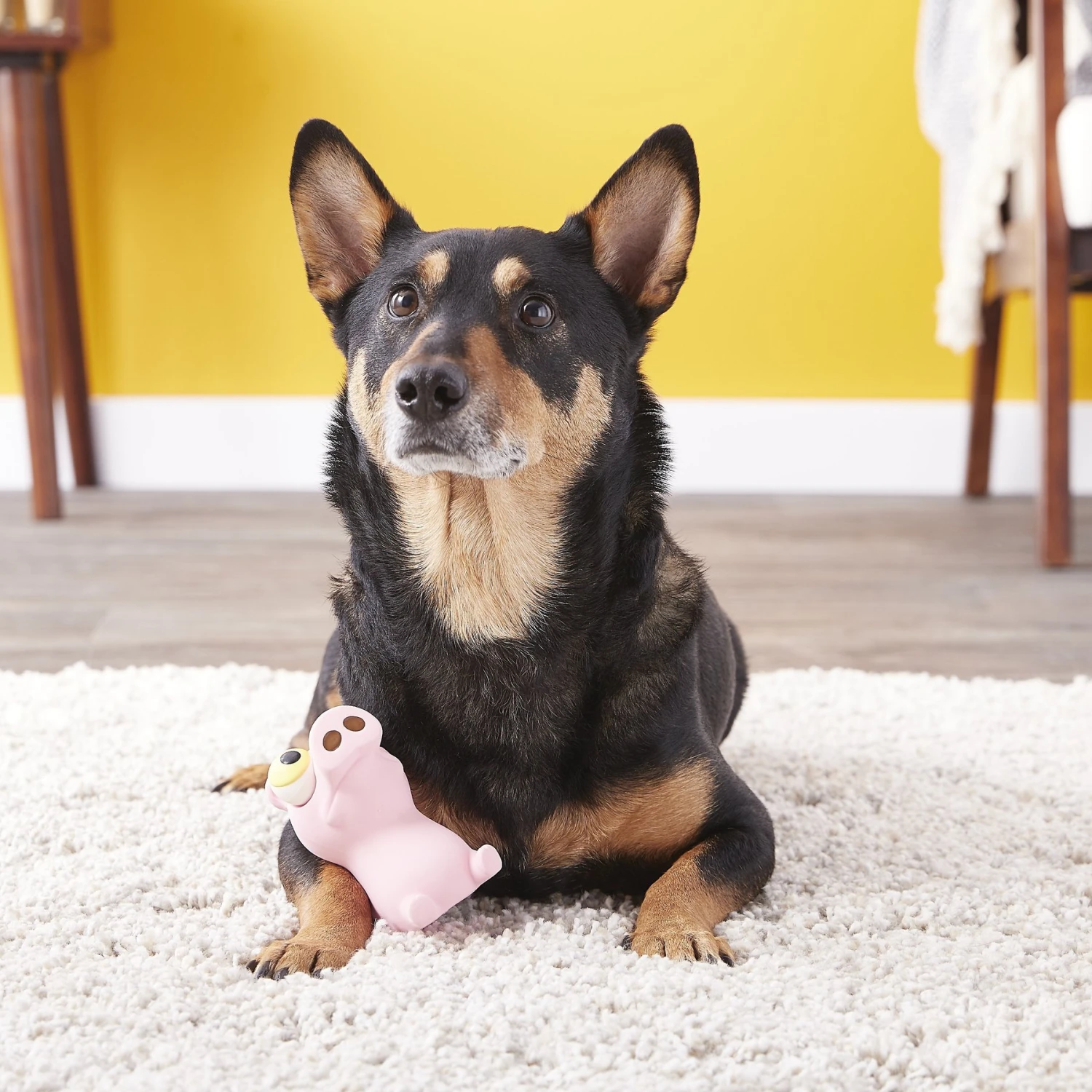 Hartz Bug Eyes Squeak Latex Dog Toy, Character Varies - Image 5