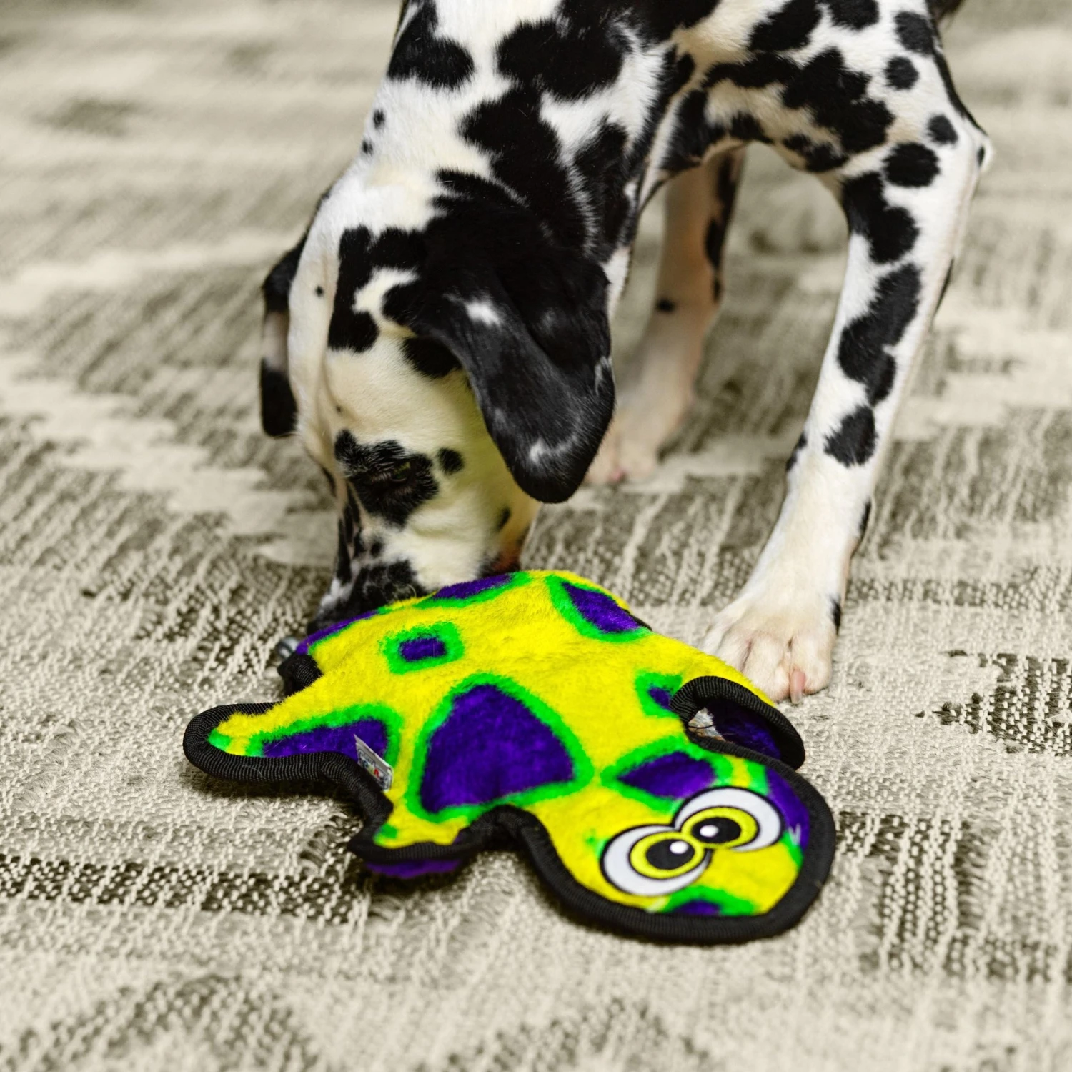 Outward Hound Invincibles Geckos Squeak Dog Toy - Image 5