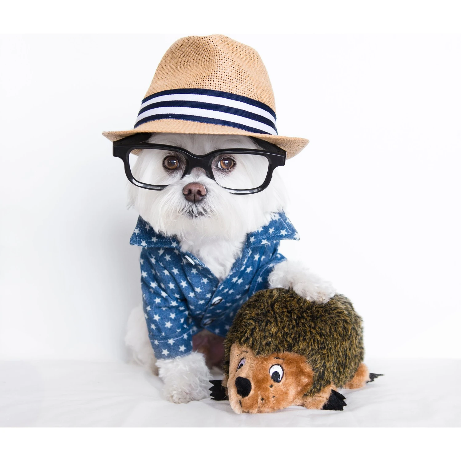 Outward Hound HedgehogZ Squeaky Plush Dog Toy - Image 9