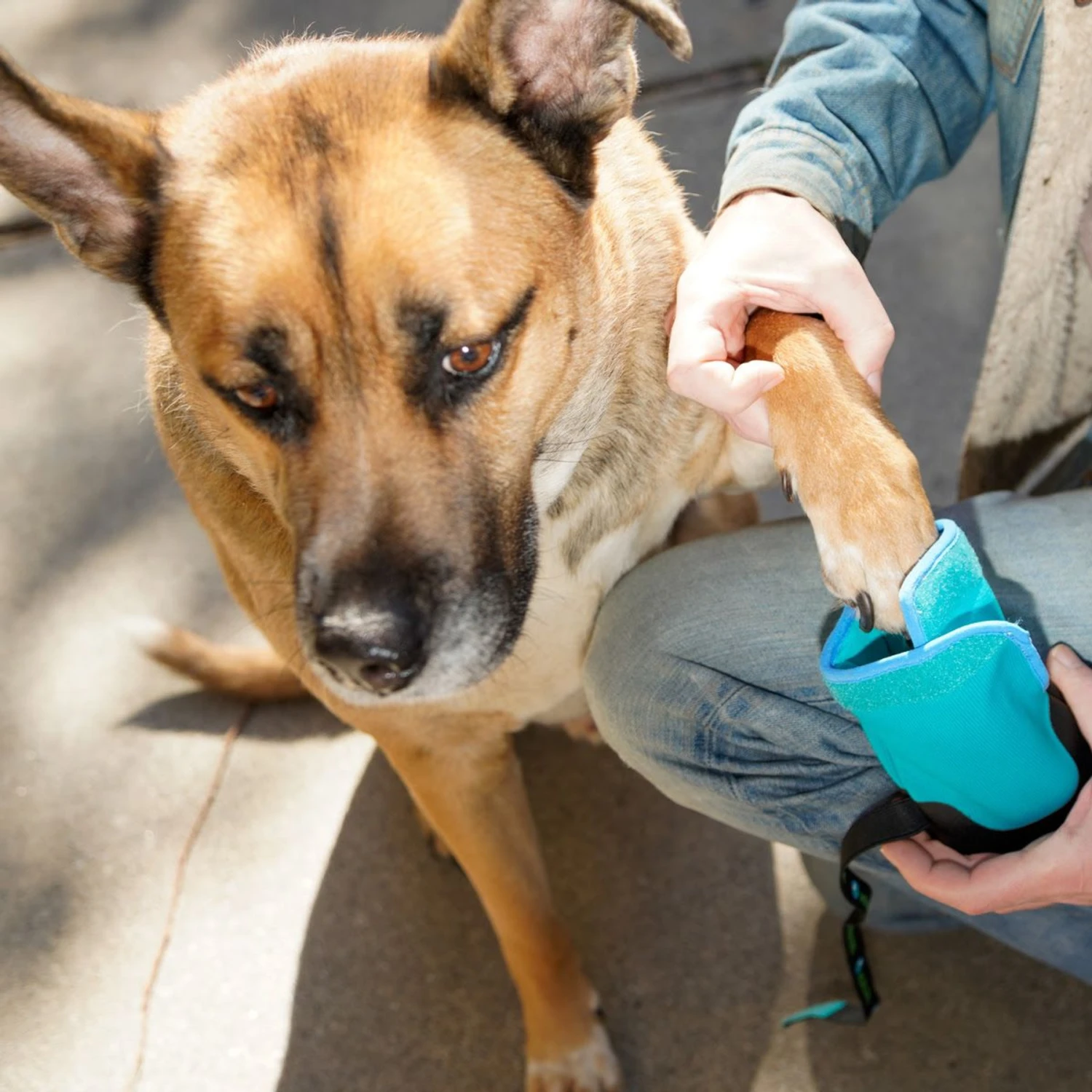 Healers Urban Walker III Waterproof Dog Boots - Image 6