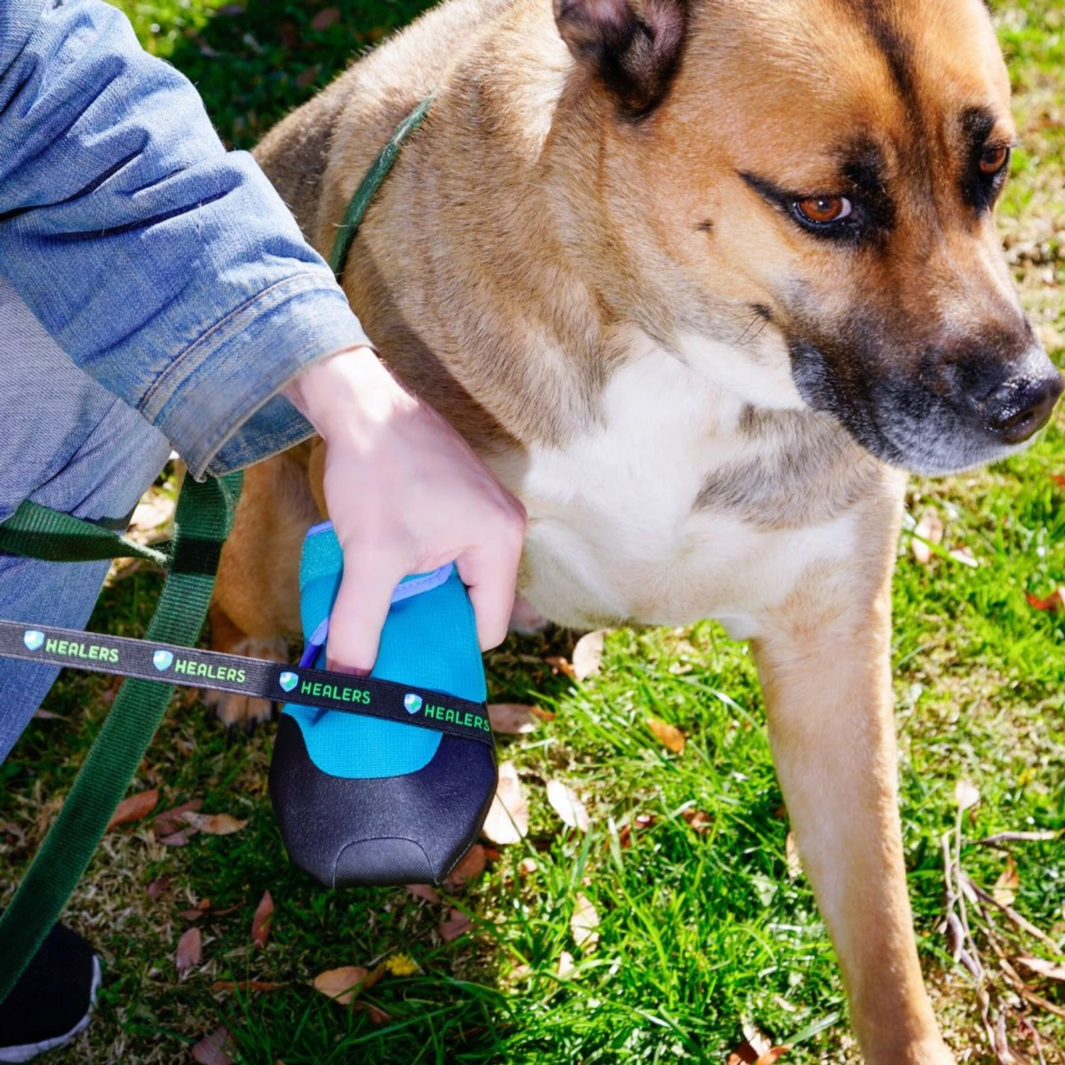 Healers Urban Walker III Waterproof Dog Boots - Image 7