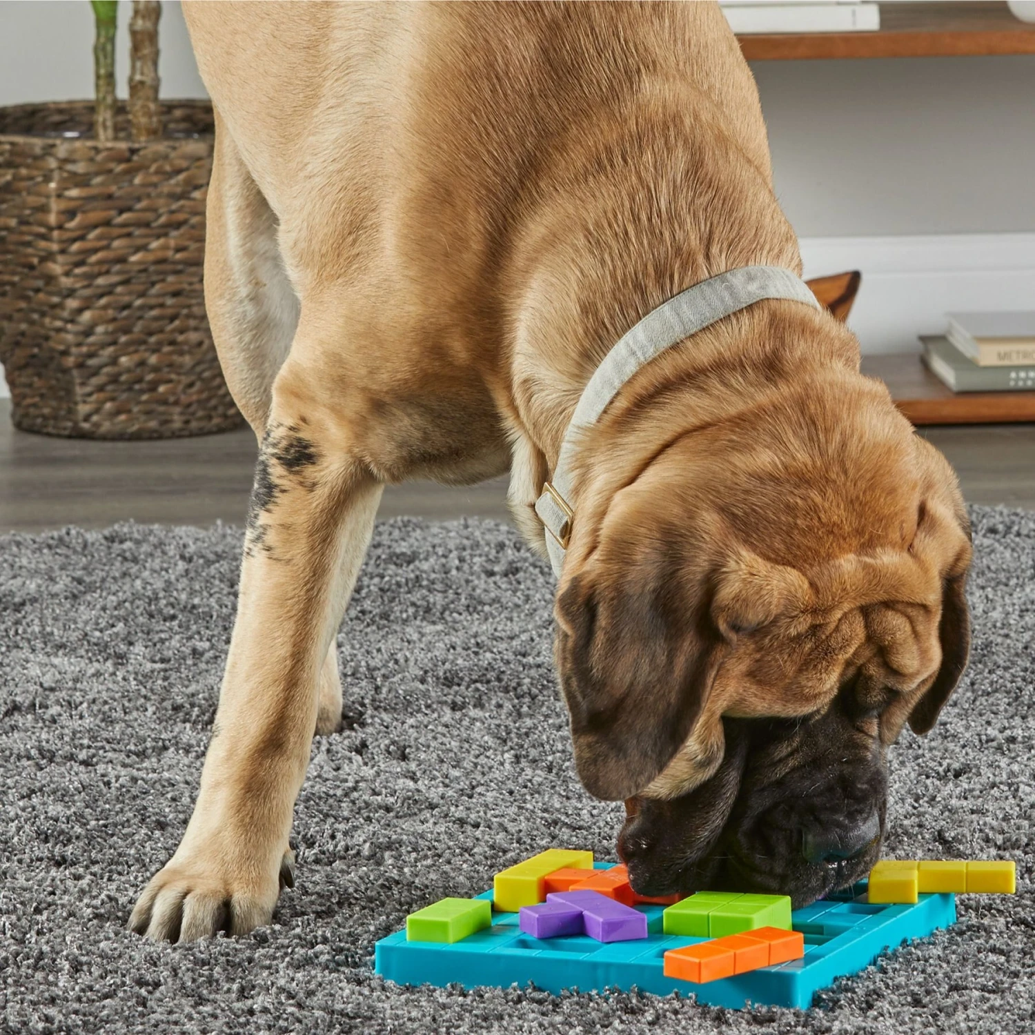 Brightkins Brain Teaser Treat Puzzle Dog Toy - Image 4