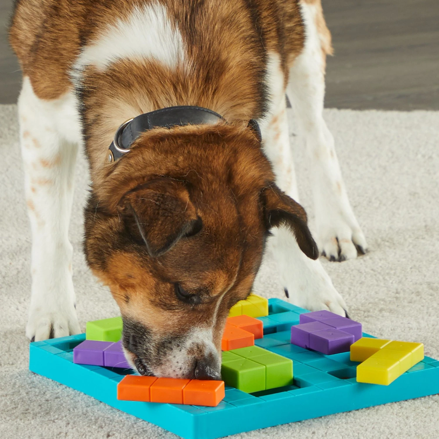 Brightkins Brain Teaser Treat Puzzle Dog Toy - Image 5