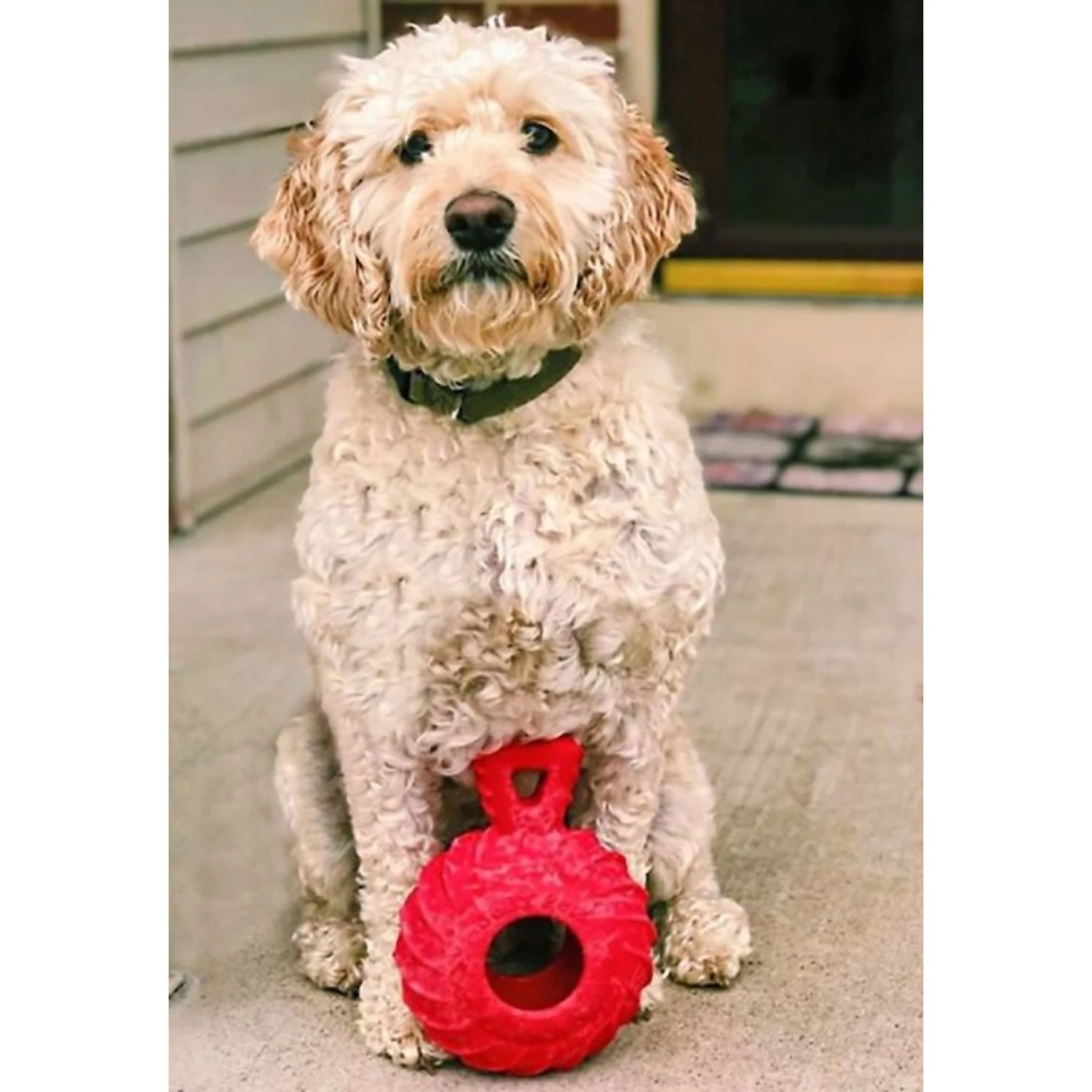 Jolly Pets Tuff Treader Dog Toy - Image 3